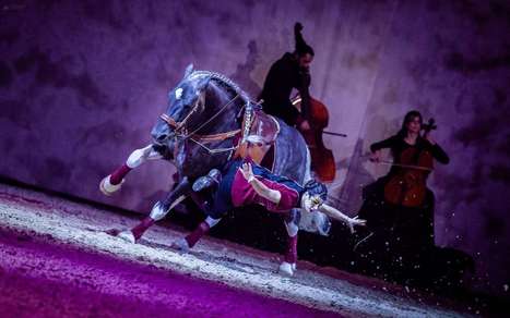 Equestria à Tarbes: Quand l’homme et le cheval ne font qu’un ! | Salon du Cheval | Scoop.it
