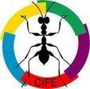 Colloque International Francophone d'Entomologie 2018 – Nouveaux paradigmes de la relation « Hommes-Insectes » | Variétés entomologiques | Scoop.it