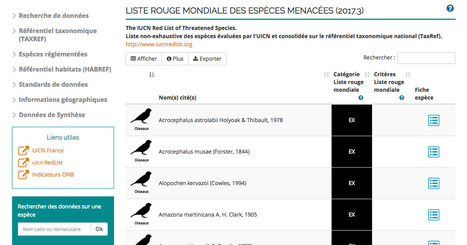 Biodiversité : une base de données pour savoir si une espèce française est menacée de disparition | Insect Archive | Scoop.it