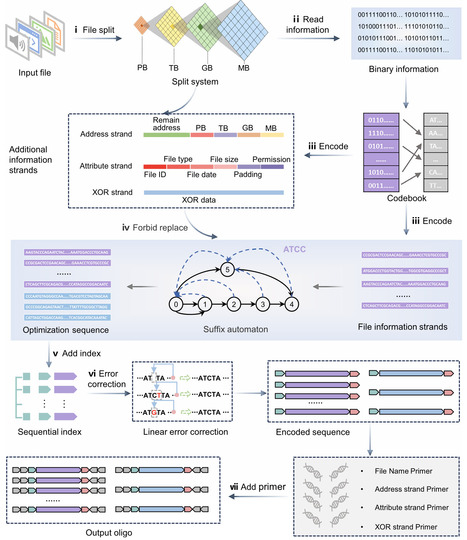 Towards scalable DNA data storage with DNA-SaM codec system | Ncm | RMH | Scoop.it