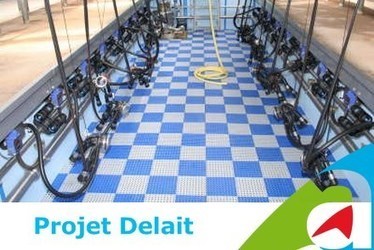 Analyse de 3 trajectoires de forte augmentation de volumes de lait | Actualit&eacute;s de l'&eacute;levage | Scoop.it