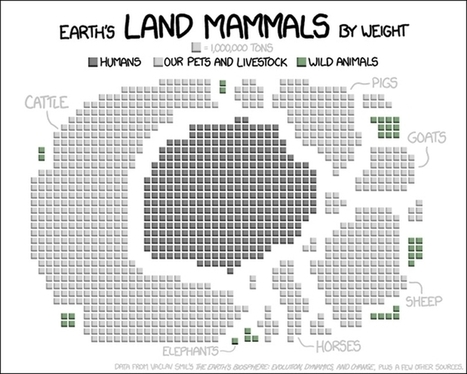 All of Earth's land mammals by total weight in one graph | Design, Science and Technology | Scoop.it