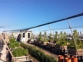 INRA - Toits potagers et ville durable | ESPACES VEGETALISES URBAINS | Scoop.it