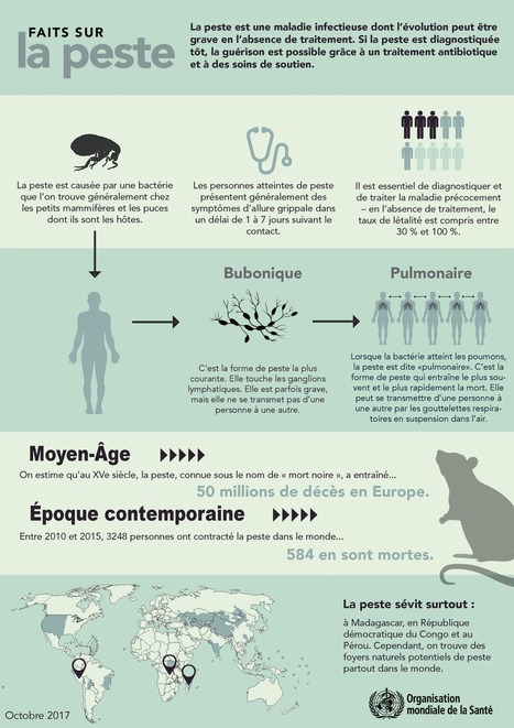 La peste, une menace pour l’ensemble du monde ? | EntomoScience | Scoop.it