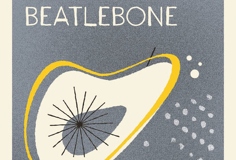 Beatlebone by Kevin Barry – read an extract / Canongate | The Irish Literary Times | Scoop.it