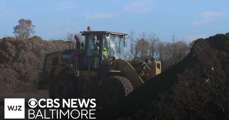 Where’s Marty: Maryland’s Eastern Sanitary Landfill Solid Waste Management Facility talks pumpki - CBS Baltimore | Industry 411 - Waste Management | Scoop.it