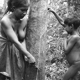 La Amazonia Perdida: El viaje fotográfico del legendario botánico Richard Evans Schultes | Ayahuasca News | Scoop.it