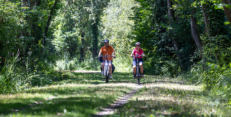 Le v&eacute;lo, un projet d&rsquo;avenir pour le D&eacute;partement | Landes | Scoop.it