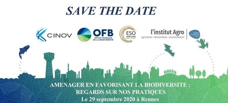 Aménager en favorisant la biodiversité : regards sur nos pratiques [RDV Biodiversité & Entreprises en Bretagne #2] | Biodiversité | Scoop.it