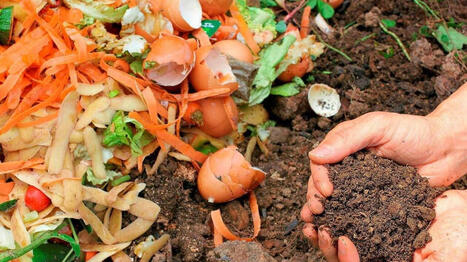 Et si vous chauffiez votre maison avec des d&eacute;chets alimentaires&nbsp;? L&rsquo;initiative gagne du terrain en Maine-et-Loire - Ouest France | Pour innover en agriculture | Scoop.it