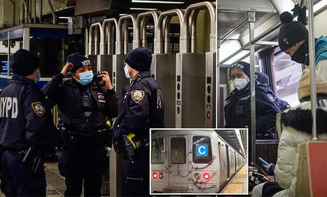 Female panhandler punches toddler in the head on the subway in New York City as crime soars | Daily Mail Online | Operation Phobos | Scoop.it