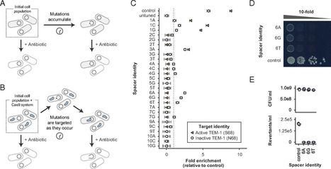 Precise Cas9 targeting enables genomic mutation prevention | RMH | Scoop.it