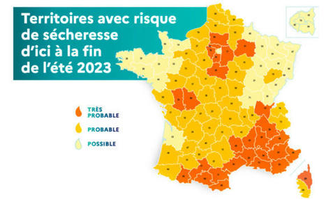 Sécheresse : risque très élevé pour la Haute-Corse "d'ici à la fin de l'été" | Perte Infrastructures-Fournisseur | Scoop.it