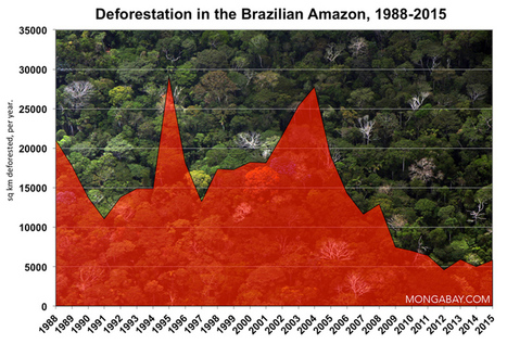 The year in rainforests: 2015 | RAINFOREST EXPLORER | Scoop.it