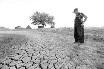 Agriculture en Afrique du Nord : La FAO évoque une grave pénurie d’eau - Economie - El Watan | MED-Amin network | Scoop.it