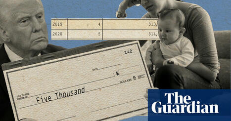 Give birth? In this economy? US women scoff at Trump’s meager ‘baby bonuses’ | US news | The Guardian | Operation Oya | Scoop.it