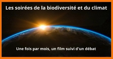 Soirée film et débat AGIR POUR TOUS - Film LOW TECH le 14 décembre 2023 | Variétés entomologiques | Scoop.it