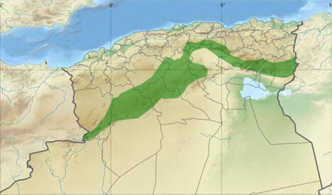 ALGERIE : for&ecirc;ts - R&eacute;habilitation du Barrage vert : Plus de 42.000 hectares plant&eacute;s entre 2023 et 2026 | CIHEAM Press Review | Scoop.it