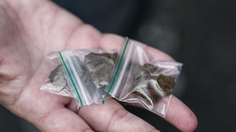 GRAND ENTRETIEN. "Cela augmente dans les p&eacute;riodes de crise" : comment la consommation de drogues a explos&eacute; ces derni&egrave;res ann&eacute;es en France | Solidarit&eacute;s | Scoop.it