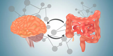 A Focused Look On The Gut-Brain Axis | Part 1 | Call: 915-850-0900 | The Gut "Connections to Health & Disease" | Scoop.it