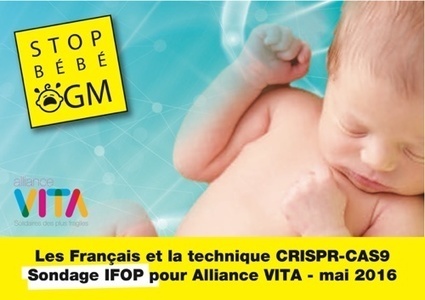 [CP] Sondage CRISPR-Cas9 : des résultats qui donnent sens à l’alerte nationale « Stop Bébé OGM » | Bioéthique & Procréation | Scoop.it