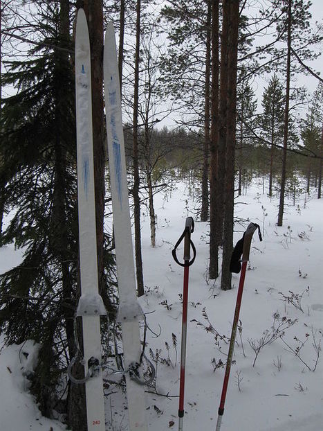 Suksi | Wikiwand | 1Uutiset - Lukemisen tähden | Scoop.it