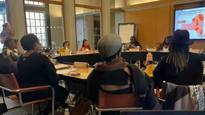 Ensuring a Healthy U.S. Democracy in the Face of Extreme Weather Events | Global Public Goods and Bads, Culture, Social Policy, Population and Migration, NGO's, NonProfit | Scoop.it