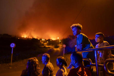 Quel est l’impact des incendies sur l’environnement ? | Biodiversité | Scoop.it