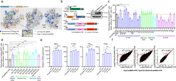 hpCasMINI: An engineered hypercompact CRISPR-Ca...
