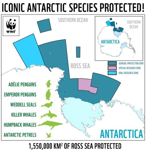 The World’s Largest Marine Protected Area Is Established in Antarctica | Coastal Restoration | Scoop.it