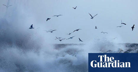 Not a breath of fresh air: study finds sewage bacteria in ocean spray | US news | The Guardian | Agents of Behemoth | Scoop.it