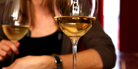 Comment le réchauffement climatique va changer les arômes du vin - Comment le réchauffement climatique va changer les arômes du vin | oenologie | Scoop.it