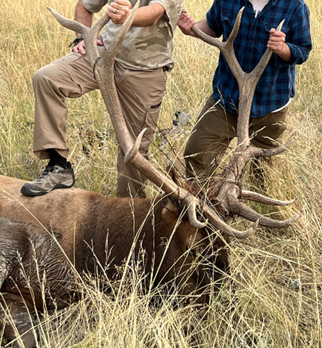 Felony warrants issued for men after alleged wildlife violations in Montana | Industry 411 - Waste Management | Scoop.it