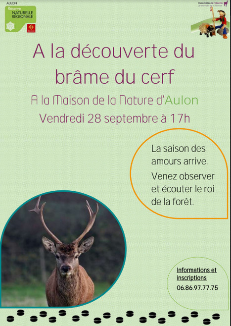 A la découverte du brame du cerf à Aulon le 28 septembre | Vallées d'Aure & Louron - Pyrénées | Scoop.it