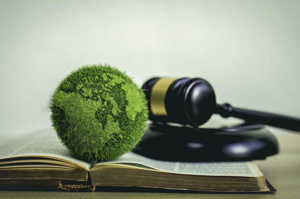 Droit et environnement : quelle efficacité ?