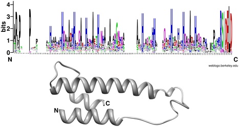 PLoS Pathogens: Endophytic Life Strategies Decoded by Genome and Transcriptome Analyses of the Mutualistic Root Symbiont Piriformospora indica | Plant Pathogenomics | Scoop.it