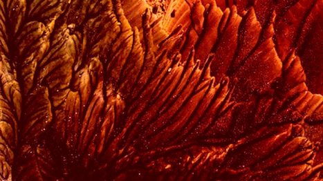 Courses: SFI Complexity Interactive | Santa Fe Institute | CxAnnouncements | Scoop.it