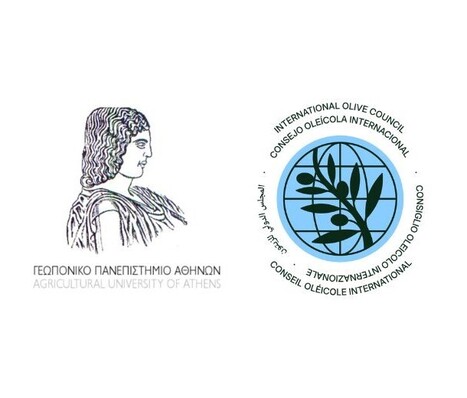 IOC and Agricultural University of Athens to collaborate on olive research and education | OLIVE NEWS | Scoop.it