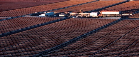 How development banks can ‘shift the trillions’ | Development Economics | Scoop.it