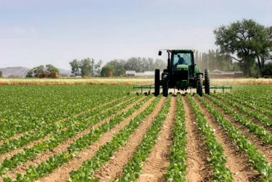 Afrique du Sud : l’agriculture a enregistré en 2023 sa plus forte contraction depuis 28 ans | Questions de développement ... | Scoop.it