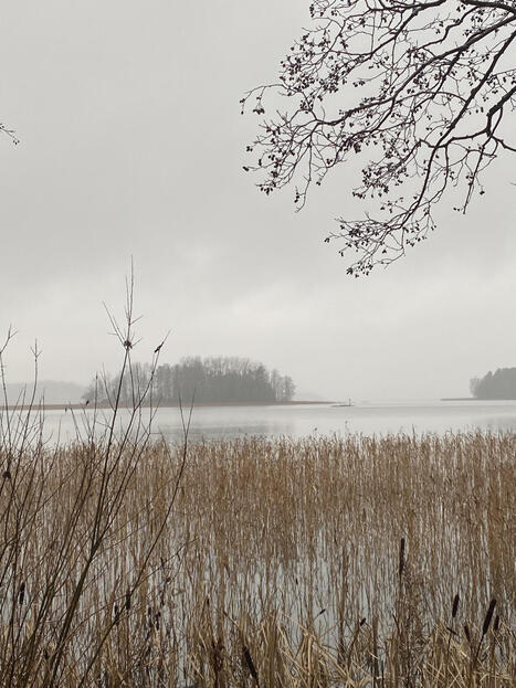 Kolme runoa &ndash; Kirjailija Hannu M&auml;kel&auml; | 1Uutiset - Lukemisen t&auml;hden | Scoop.it