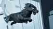 The Wolf I Used To Be, un très beau film d'animation en papier | Loup | Scoop.it