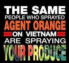 2,4-D "Agent Orange" weed killer on your food, in the environment and in your body? | YOUR FOOD, YOUR ENVIRONMENT, YOUR HEALTH: #Biotech #GMOs #Pesticides #Chemicals #FactoryFarms #CAFOs #BigFood | Scoop.it