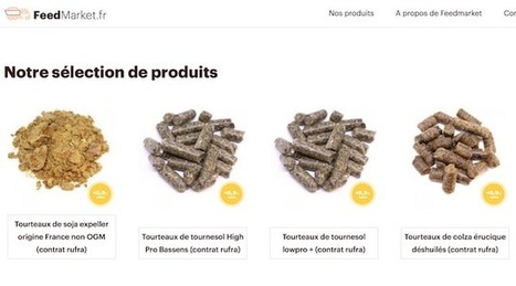 Avril annonce le lancement de FeedMarket.fr, une plateforme digitale pour l’alimentation animale | Lait de Normandie... et d'ailleurs | Scoop.it