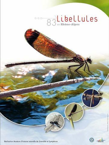 Atlas en ligne -  Libellules de Rhône-Alpes & Dauphiné : 85 espèces en Rhône-Alpes | Insect Archive | Scoop.it
