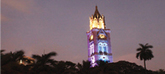 Top 10 Things Indians Googled In 2014 | Metaglossia: The Translation World | Scoop.it