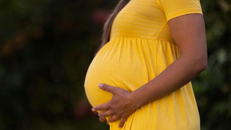 Une m&egrave;re porteuse donne naissance &agrave; des jumeaux de parents diff&eacute;rents : le ph&eacute;nom&egrave;ne rarissime de la superf&eacute;tation | Bio&eacute;thique & Procr&eacute;ation | Scoop.it