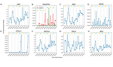 Wastewater Sequencing Reveals Persistent Circulation and Rising Prevalence of Several Oncogenic Viruses Across Texas | Virus World | Scoop.it