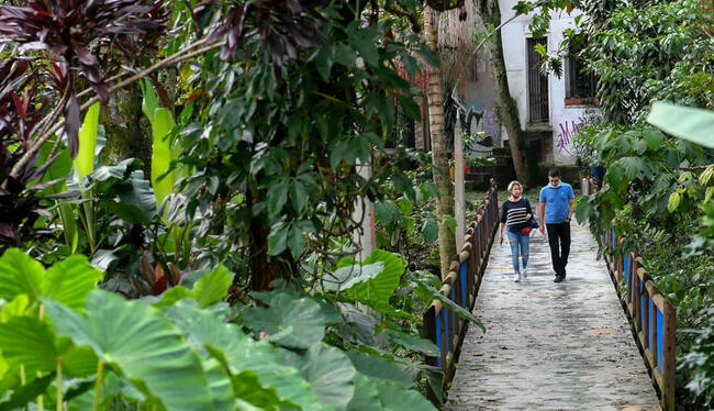 Températures en baisse de 2 °C en 3 ans : Medellin montre comment rafraîchir les villes