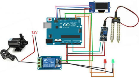 How To Build A Plant Watering System Using Arduino | tecno4 | Scoop.it